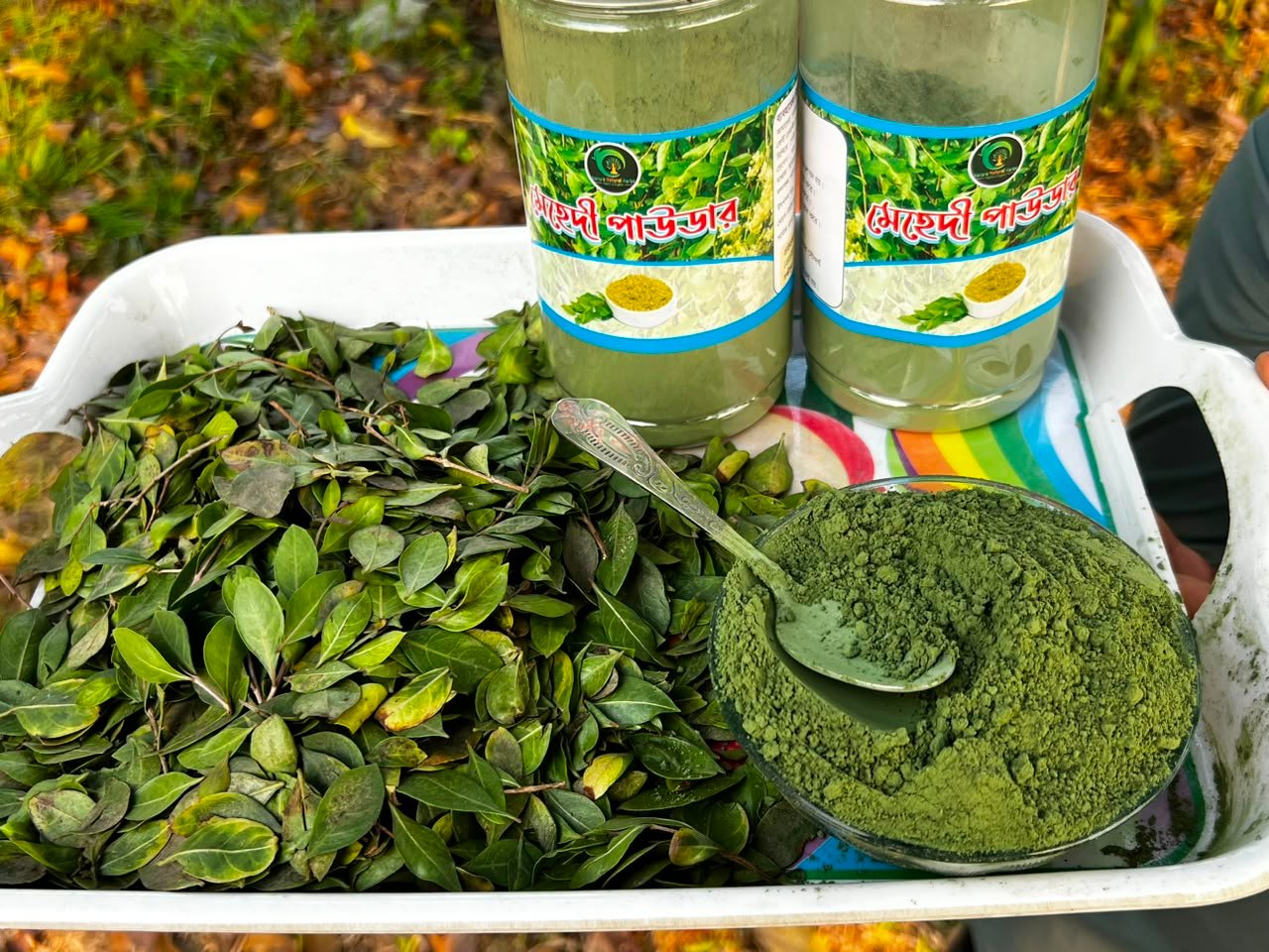মেহেদি পাতা